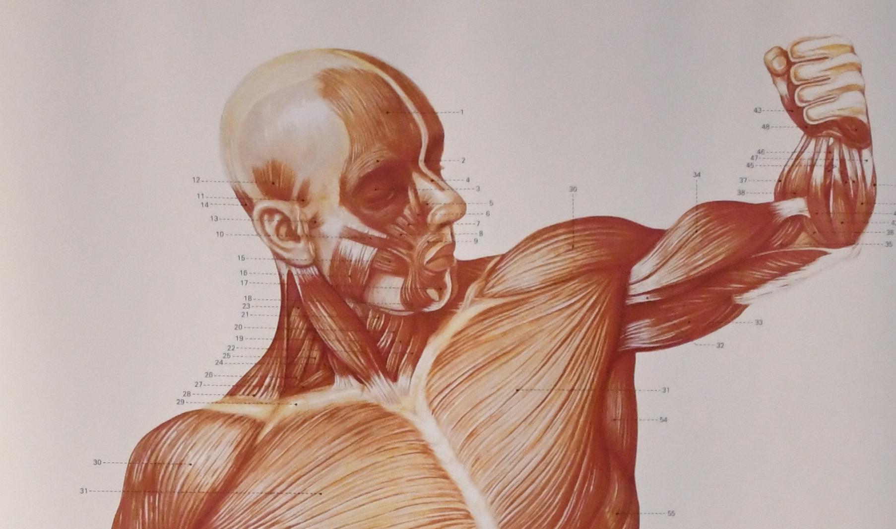 Afspraak Henk Scholing